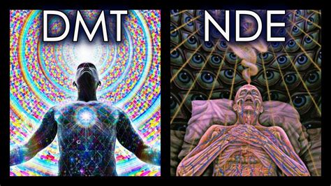 Dmt near me - DMT-Nexus, for all your information on DMT, Ayahuasca and the sorts...